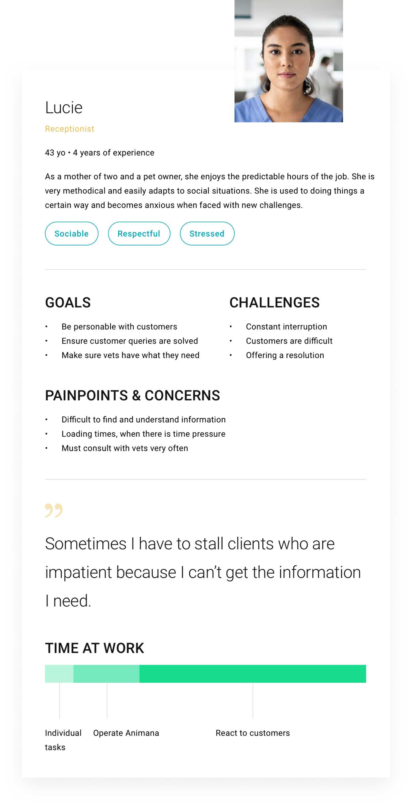 User Persona Diagramm mit Zielen, Herausforderungen und Anliegen